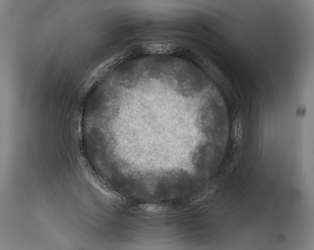 X0000114390733200911131342