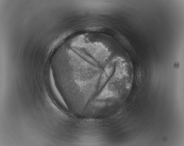 X0000114390734200911131342