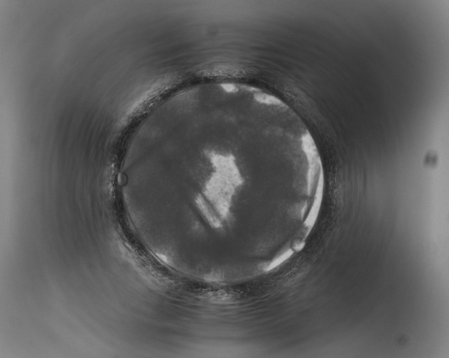 X0000114390735200911131342