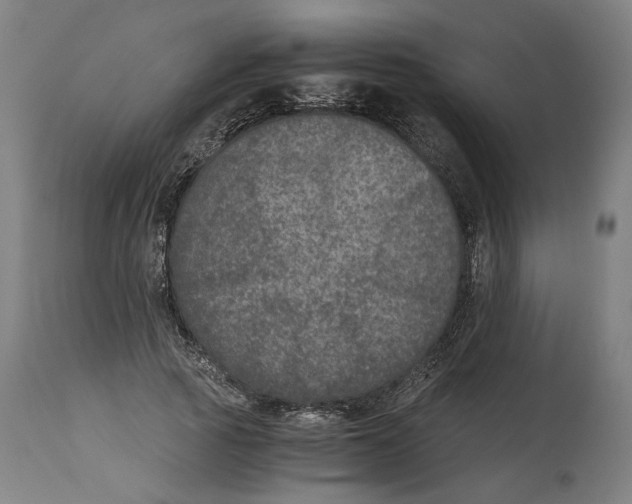 X0000114390737200911131342