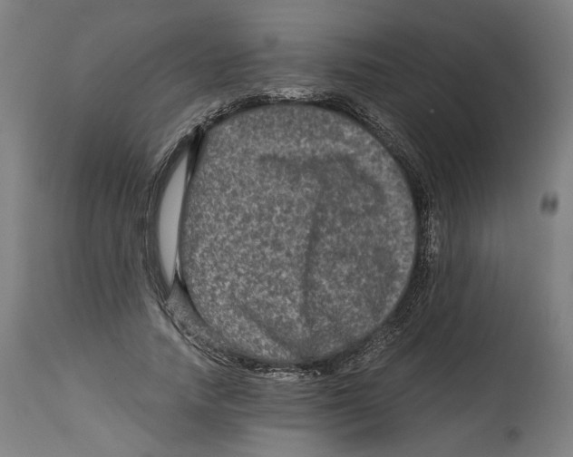 X0000114390738200911131342