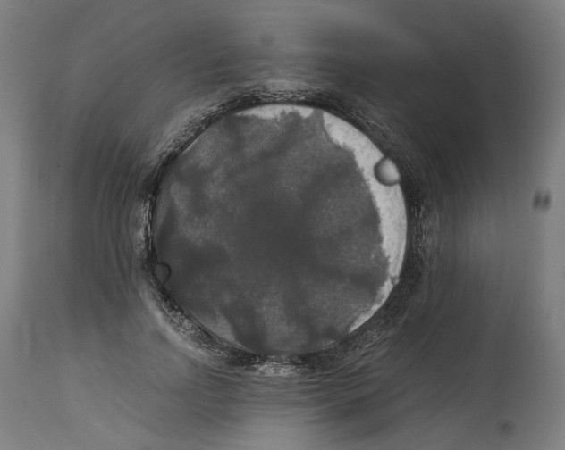 X0000114390742200911131342