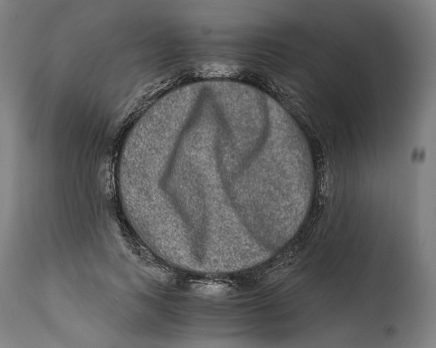 X0000114390743200911131342