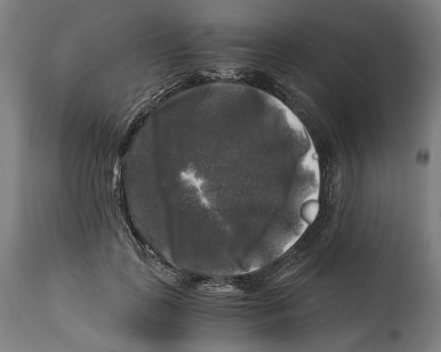 X0000114390747200911131342