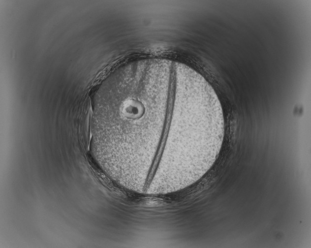 X0000114390750200911131342