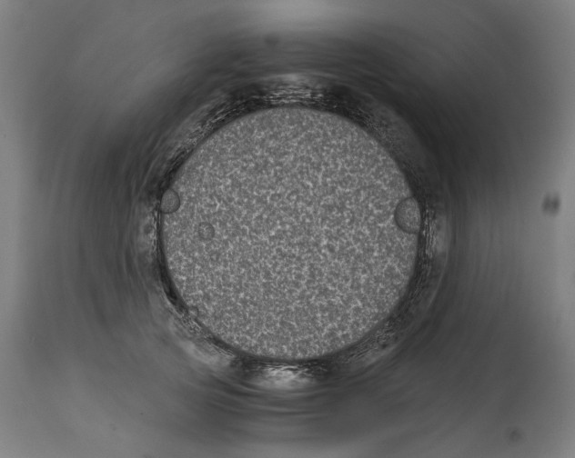 X0000114390753200911131342