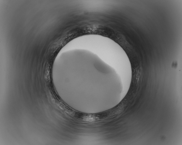 X0000114390754200911131342