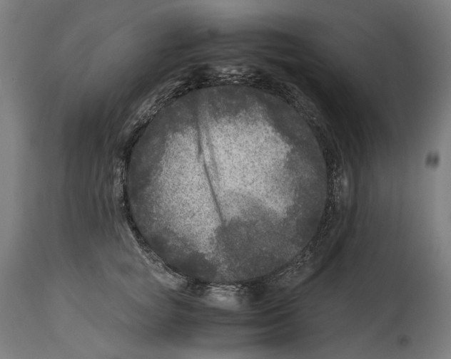 X0000114390757200911131342