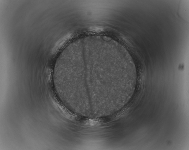 X0000114390758200911131342