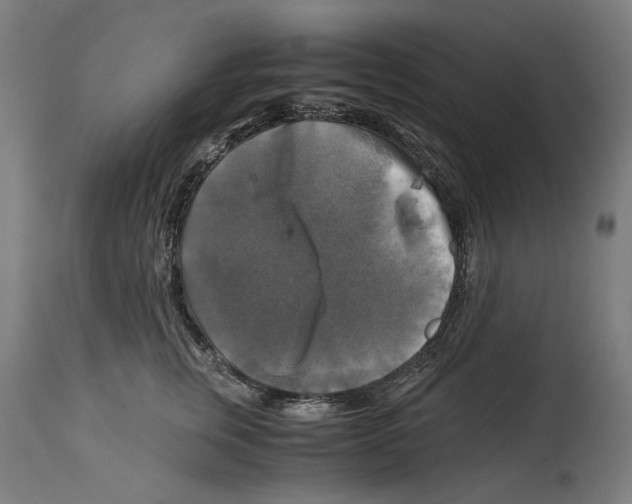 X0000114390759200911131342