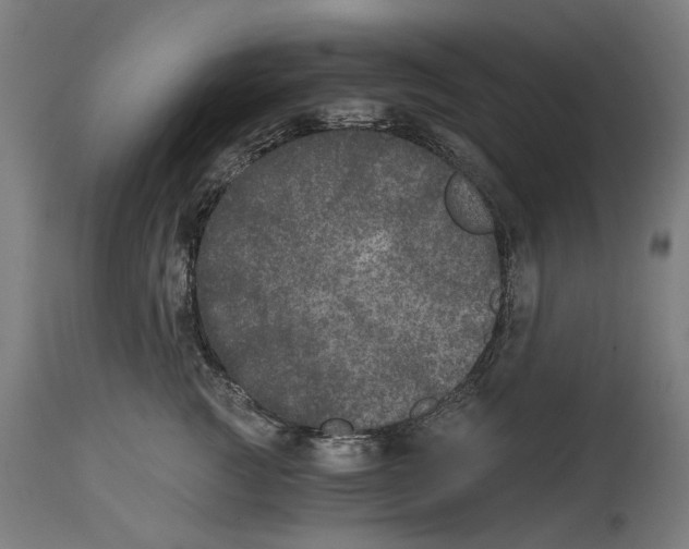 X0000114390761200911131342