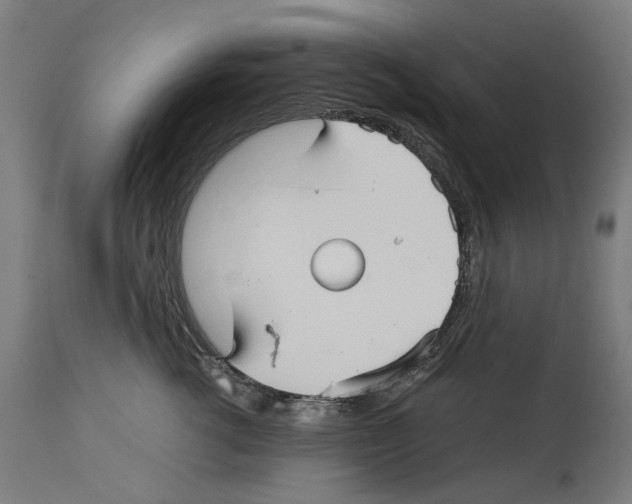 X0000114390762200911131342