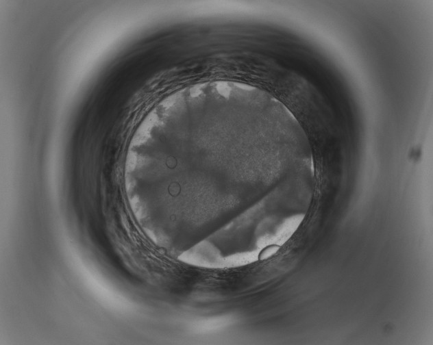 X0000114390765200911131342