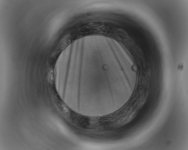 X0000114390766200911131342