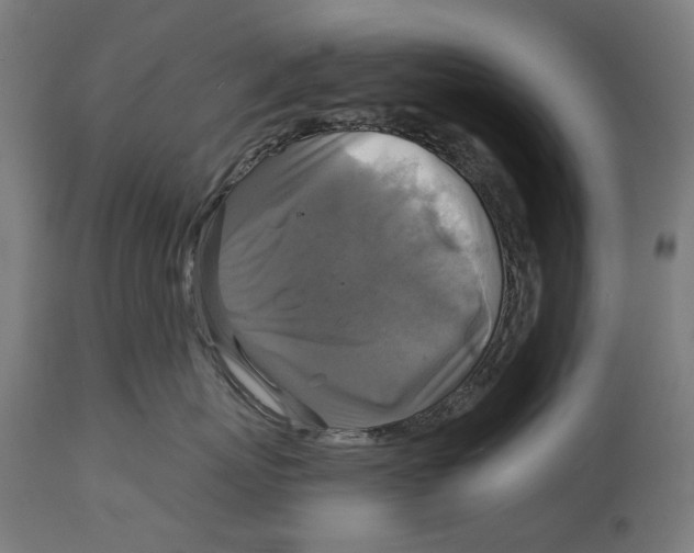 X0000114390767200911131342