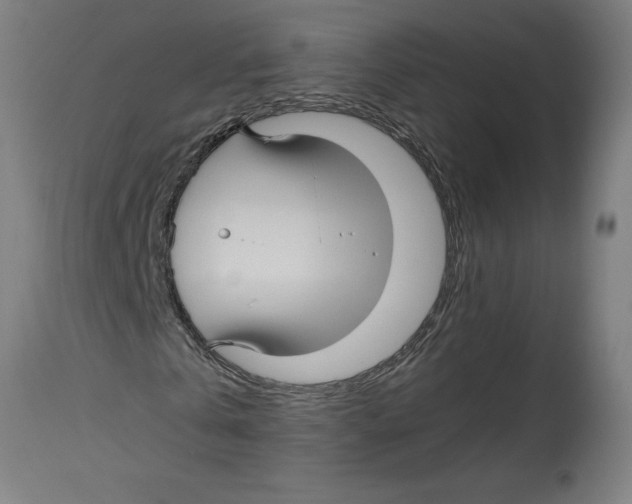 X0000114390769200911131342