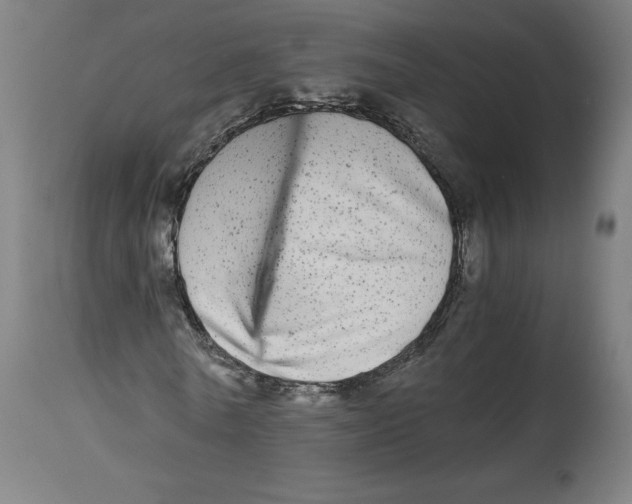 X0000114390770200911131342