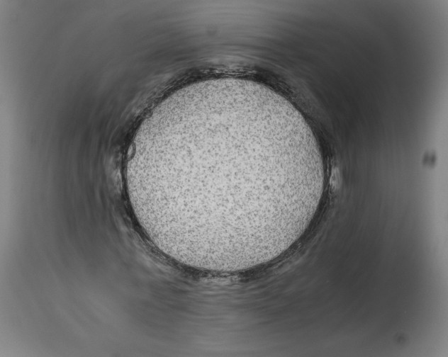 X0000114390771200911131342