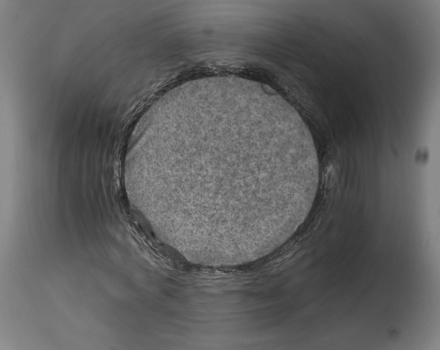 X0000114390772200911131342