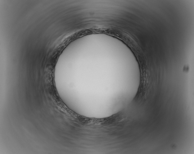 X0000114390773200911131342