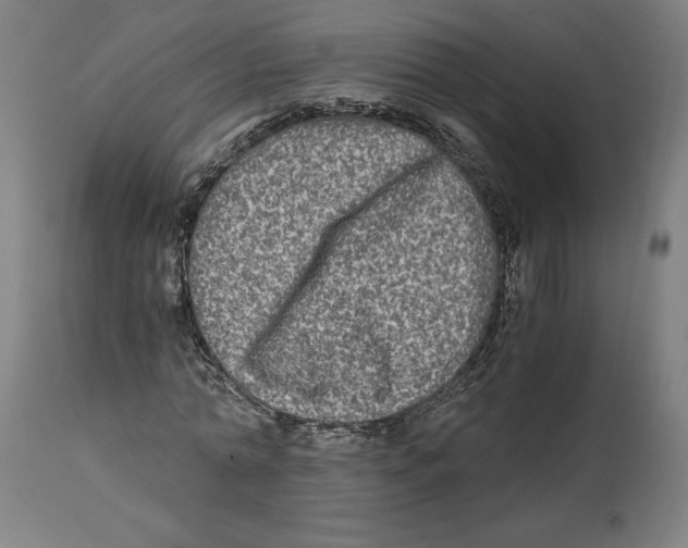 X0000114390774200911131342