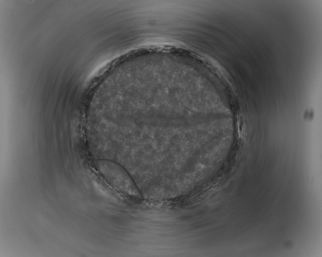 X0000114390775200911131342