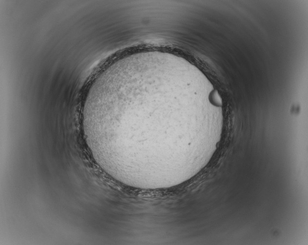 X0000114390776200911131342