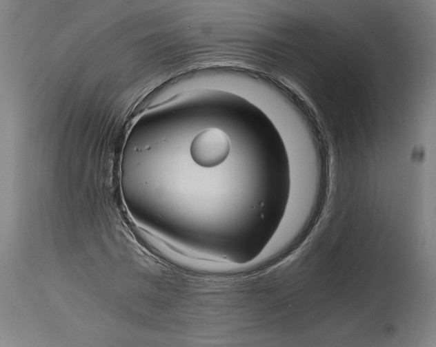 X0000114390777200911131342