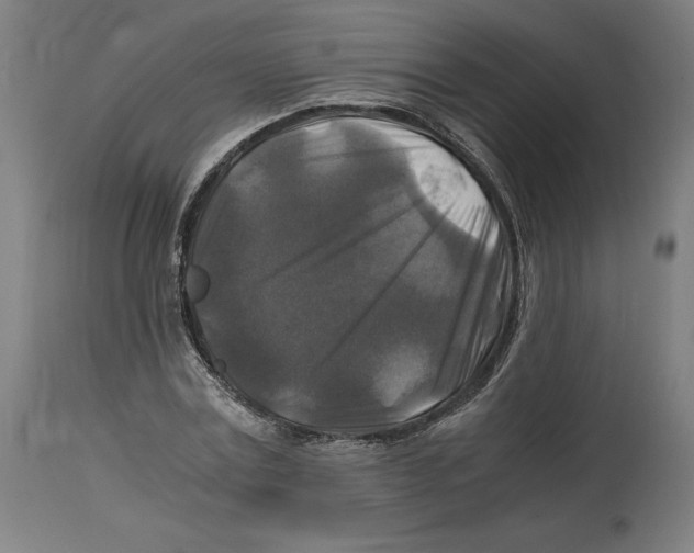 X0000114390779200911131342