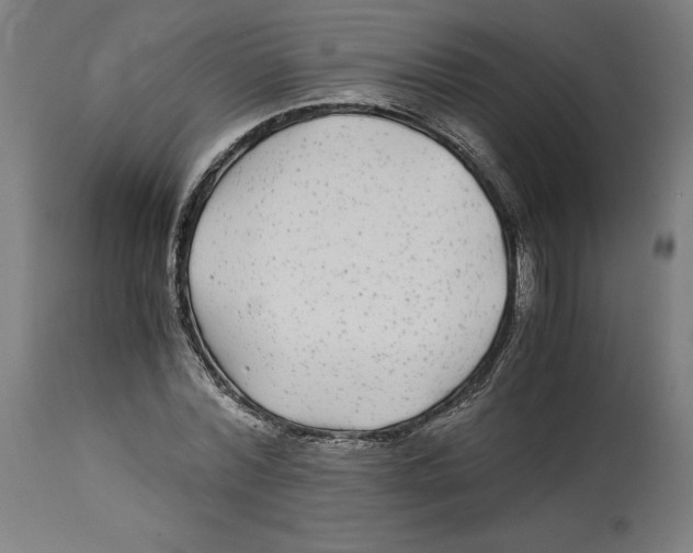 X0000114390780200911131341