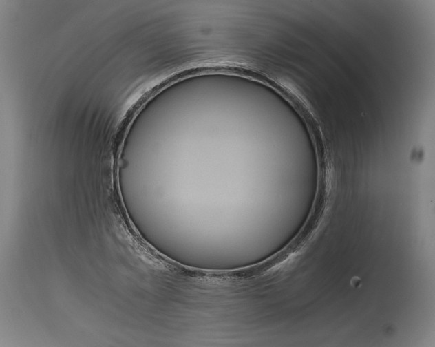 X0000114390781200911131341