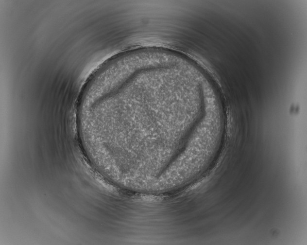 X0000114390782200911131341