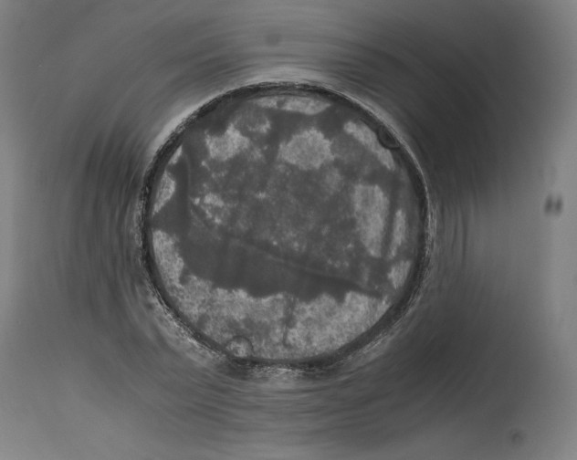 X0000114390783200911131341