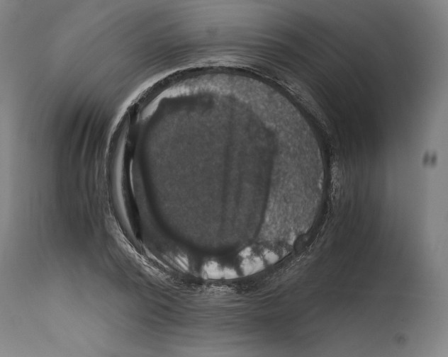 X0000114390784200911131341