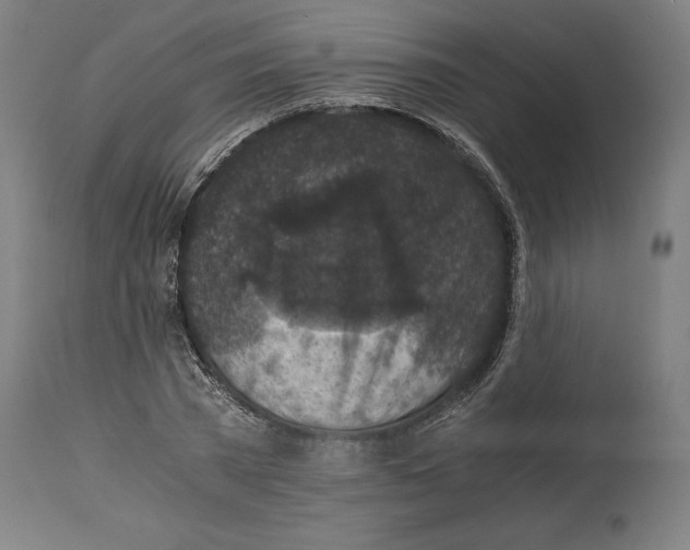 X0000114390785200911131341