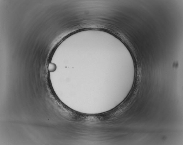 X0000114390787200911131341