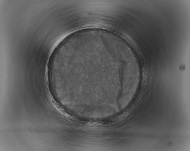 X0000114390788200911131341