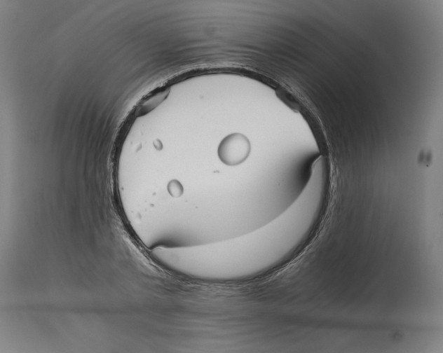 X0000114390789200911131341