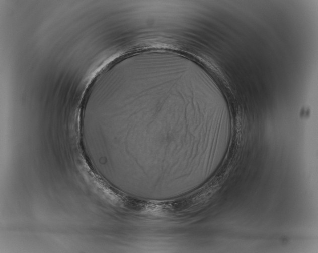 X0000114390790200911131341