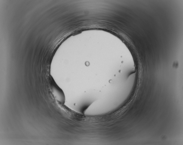 X0000114390793200911131341