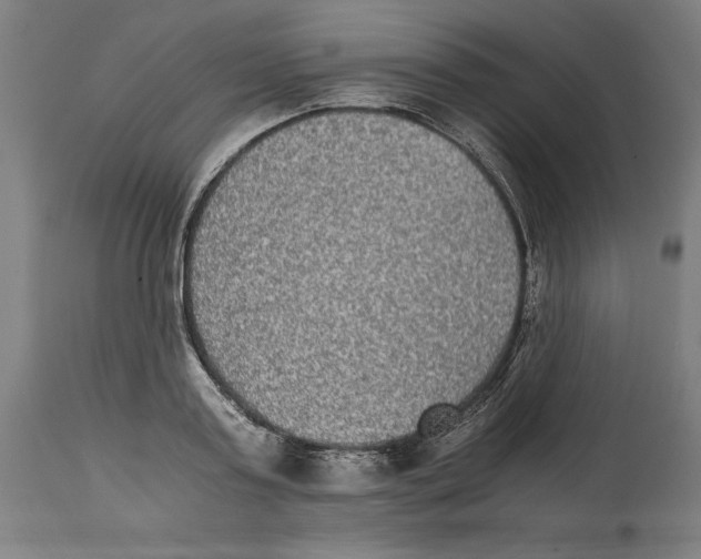 X0000114390795200911131341