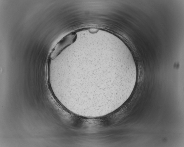 X0000114390796200911131341