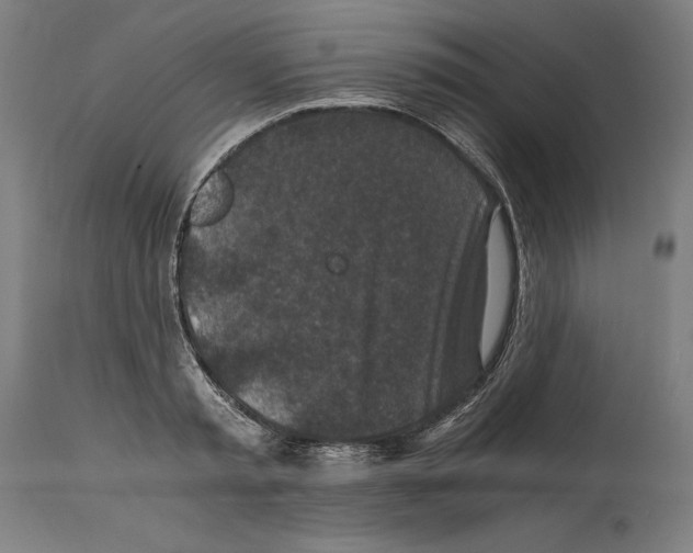 X0000114390797200911131341