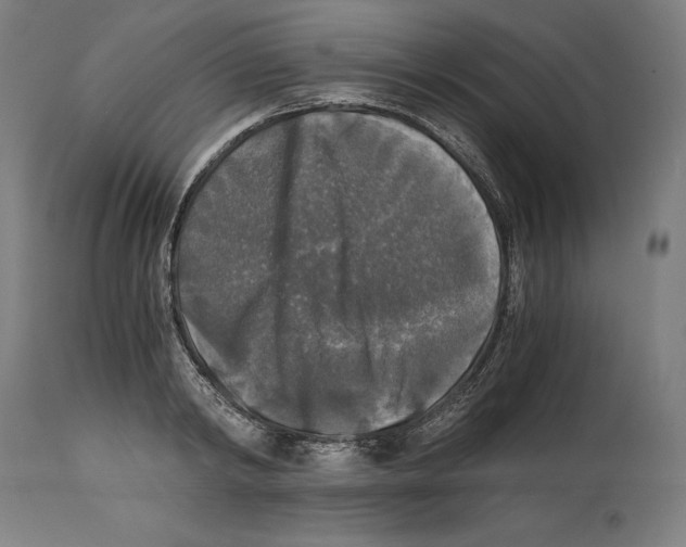 X0000114390798200911131341