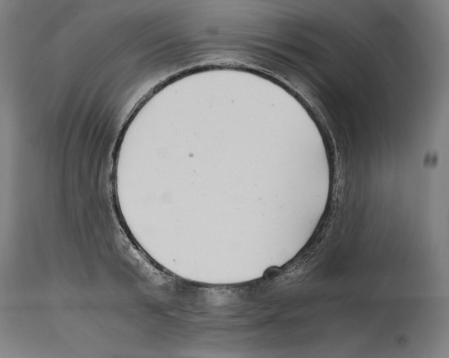 X0000114390799200911131341