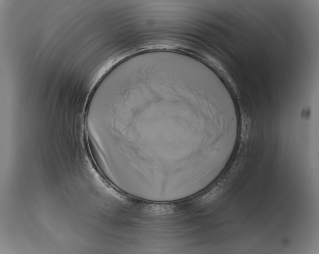 X0000114390802200911131341