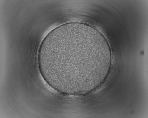 X0000114390803200911131341