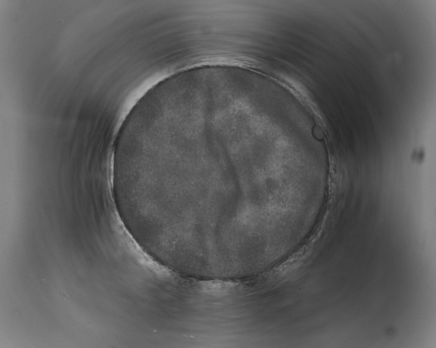 X0000114390804200911131341