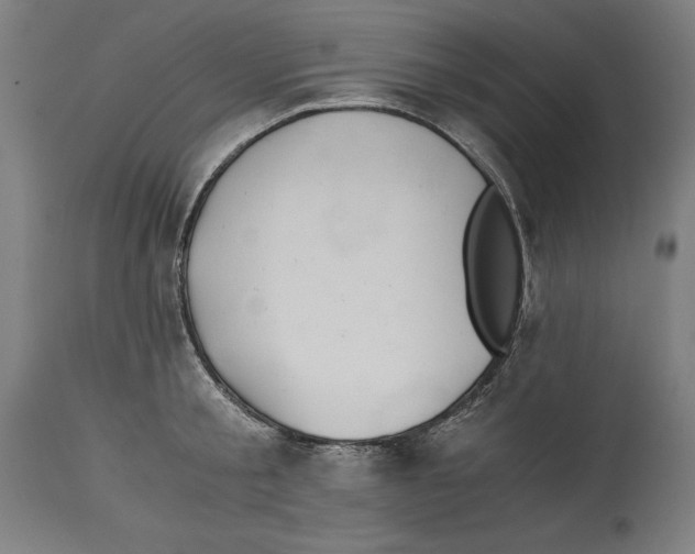 X0000114390805200911131341