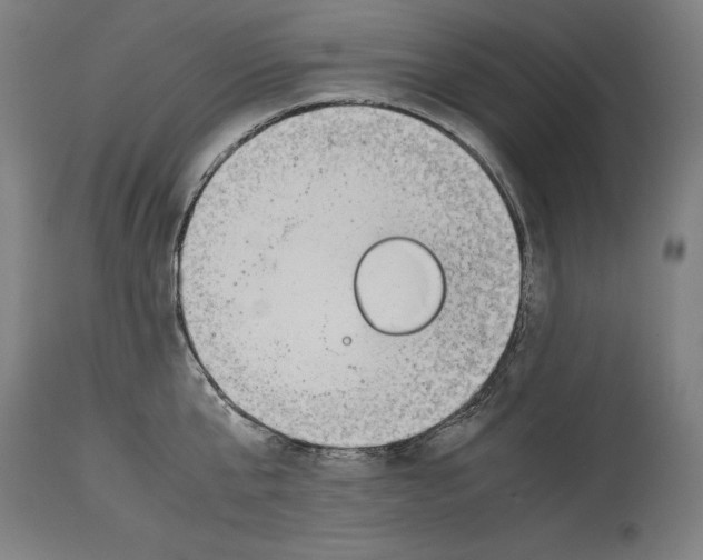 X0000114390807200911131341